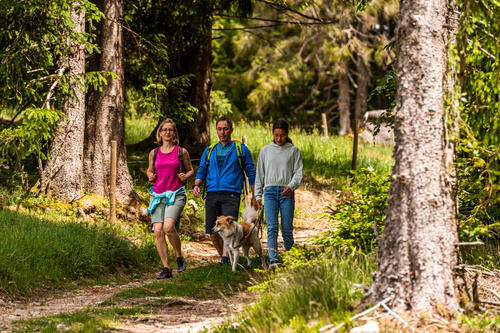 Gerne erlutern wir Ihnen nebenstehend den Hintergrund zur Veranstaltung