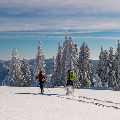 Schneeschuhwandern im Schwarzwald Schneeschuhwandern im Schwarzwald