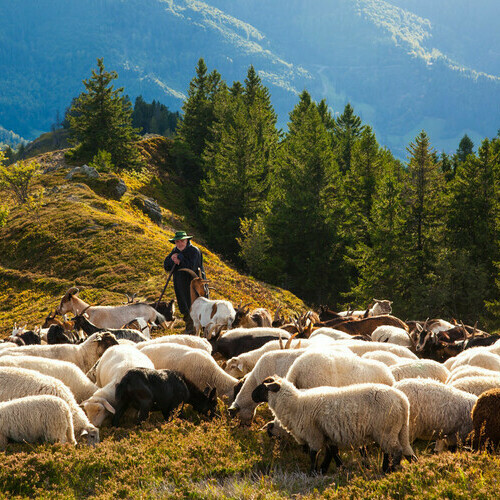 © Clemens Emmler / Biosphärengebiet Schwarzwald © Clemens Emmler / Biosphärengebiet Schwarzwald