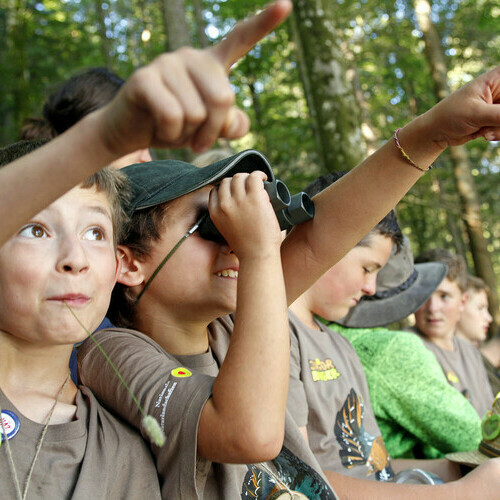 © Arnold Morascher / Biosphärengebiet Schwarzwald © Arnold Morascher / Biosphärengebiet Schwarzwald