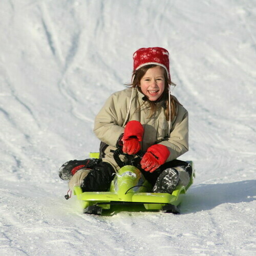 Rodeln in der Schwarzwaldregion Belchen Rodeln in der Schwarzwaldregion Belchen