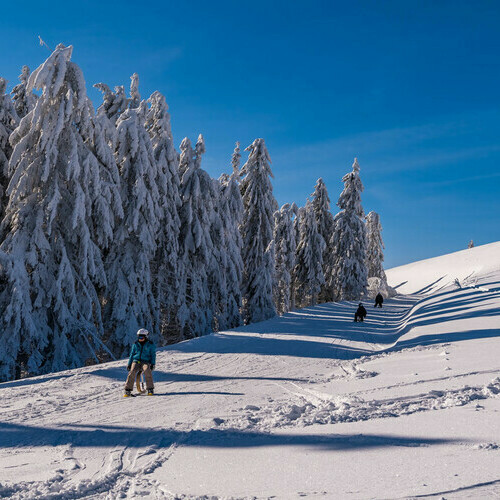Ab geht's ins Tal! Ab geht's ins Tal!