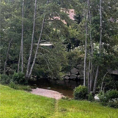 Zugang zum Fluss Wiese Zugang zum Fluss Wiese