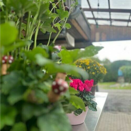 Wohlfühl-Atmosphäre ist uns wichtig Wohlfühl-Atmosphäre ist uns wichtig