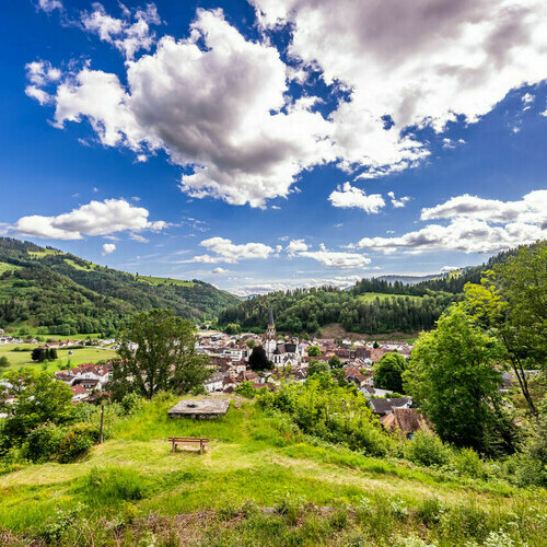 Blick über Schönau Blick über Schönau