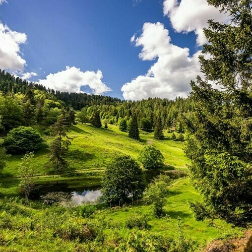 Der Letzbergweiher Der Letzbergweiher