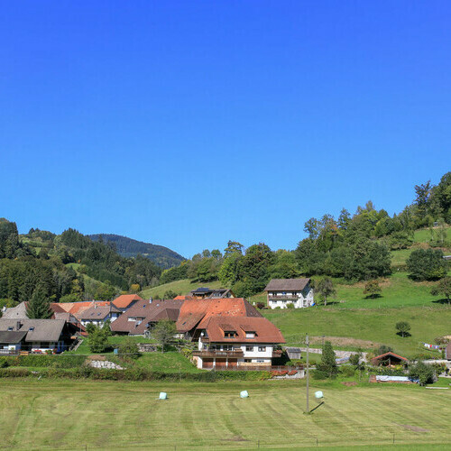 Wohnhäuser in Wembach umringt von grünen Wiesen Wohnhäuser in Wembach umringt von grünen Wiesen