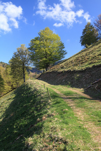 Erholungsort Wieden Erholungsort Wieden