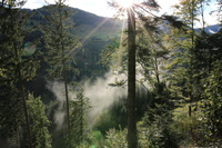 Bannwaldwanderung Bannwaldwanderung