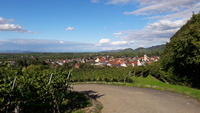 Blick auf Britzingen mit seinen Weinreben und das Markgräfler Land. Foto: Bernhard Seger.  Blick auf Britzingen mit seinen Weinreben und das Markgräfler Land. Foto: Bernhard Seger.