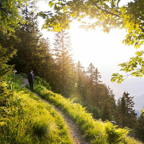 Wanderer auf einem Teilstück des Westwegs, ins Tal blickend.