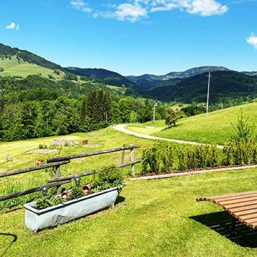 Die Aussicht von der Liegewiese  -  Die Aussicht von der Liegewiese  -